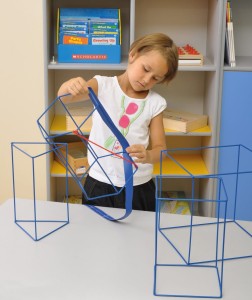 Wielkie bryły szkieletowe - 7 sztuk  