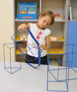 Wielkie bryły szkieletowe - 7 sztuk  