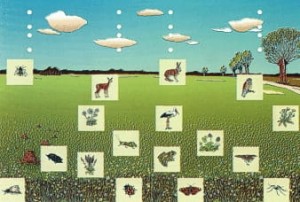 Na polu, w lesie i na łące - zestaw