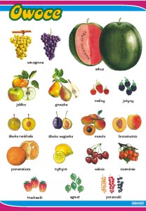 Zestaw 25 plansz do nauczania zintegrowanego 