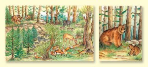 Zwierzęta domowe i leśne we własnym środowisku-Część nr II - Małe i duże zwierzęta leśne