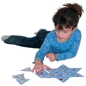 Układanka Schubitrix - Nomen: Singular und Plural