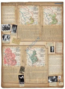 Powstanie śląskie, mapa ścienna