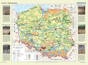 Polska - rodzaje gleb