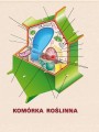 komórka roślinna.jpg