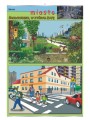 Miasto-środowisko-w-którym-żyje.jpg