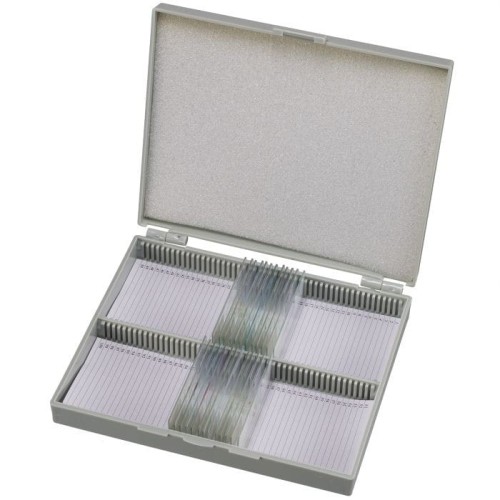 5986001-006.jpg