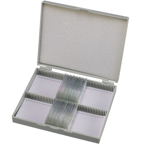 5986000-002.jpg