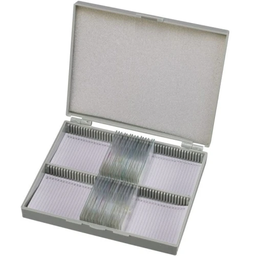 5986000-002.jpg