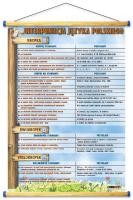 Kropka, dwukropek, wielokropek