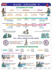DUO Basic English V 