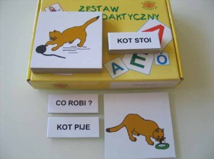 Zestaw Co robi kot?         