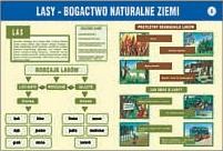 Chrońmy nasze środowisko cz.I - zestaw 