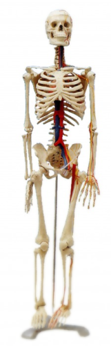 pracownia biologiczna
