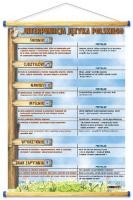 Średnik, cudzysłów, nawias, myślnik, wykrzynik, znak zapytania