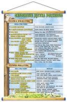 Pisownia wielką i małą literą