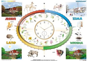 Vier Jahreszeiten - Rytmy przyrody