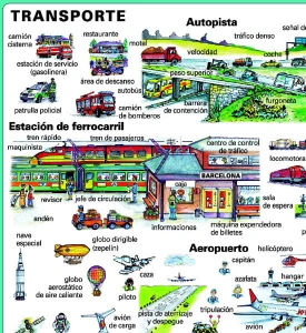 Duo  Transporte 